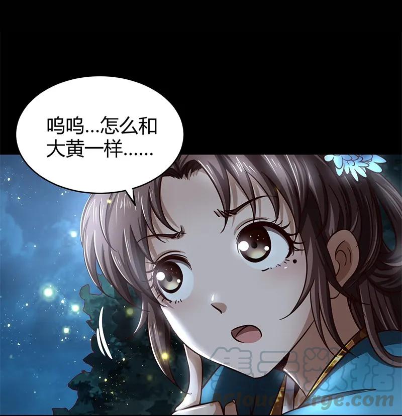 49.jpg