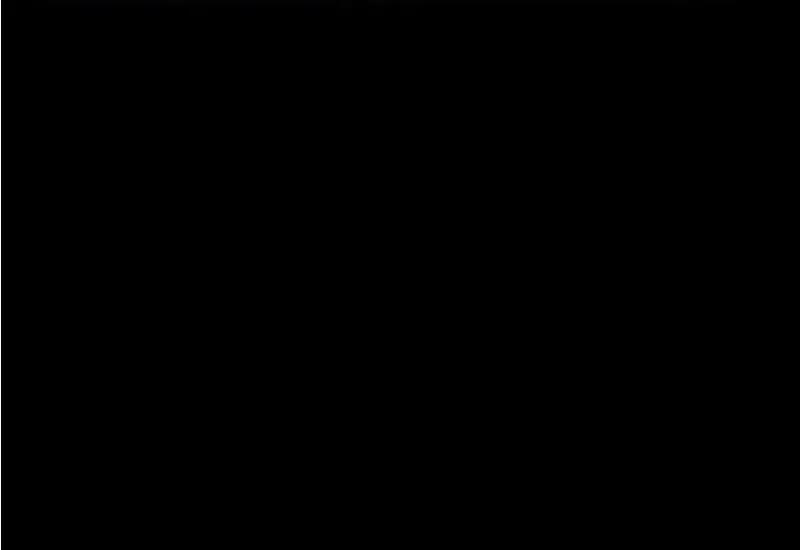 77.jpg