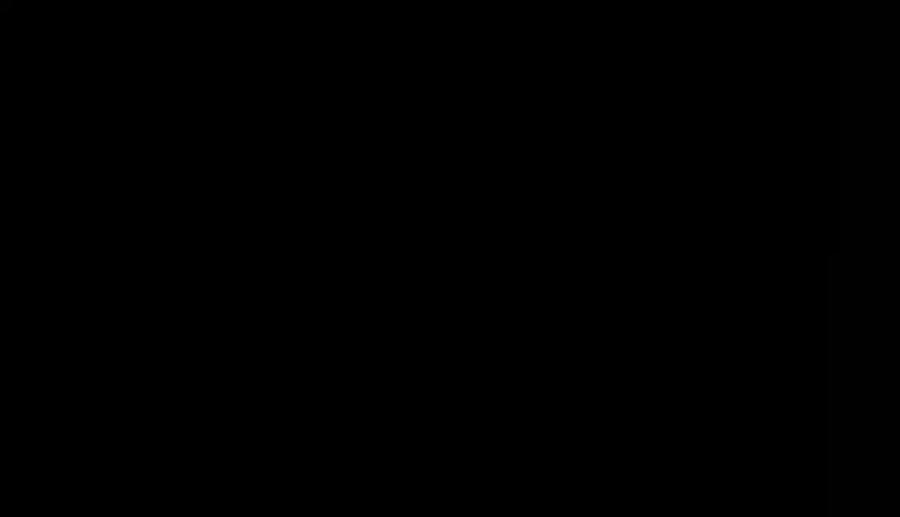 151.jpg