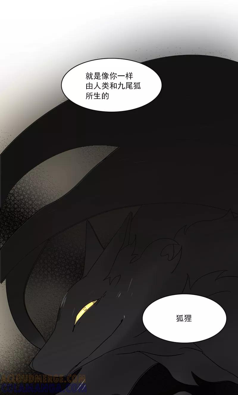 第38话另一只黑狐-月亮-蓝文文化（第5张）