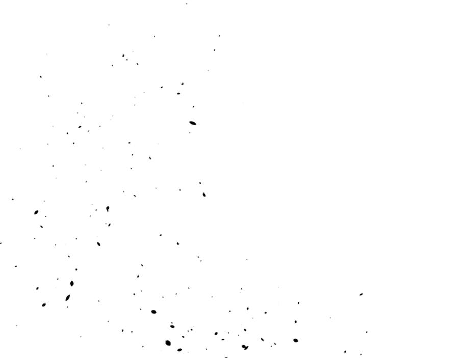 88.jpg