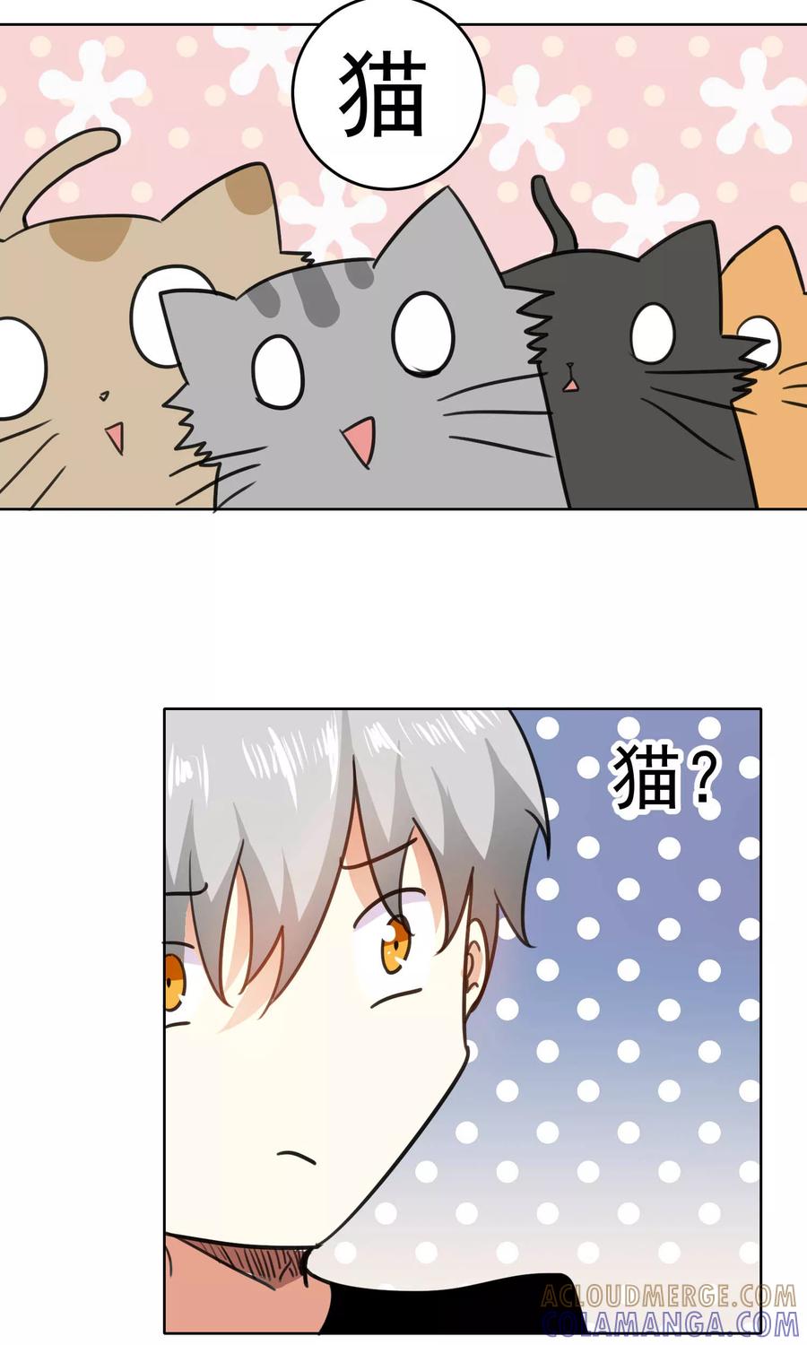 第75话-猫的制作人-极漫文化（第3张）