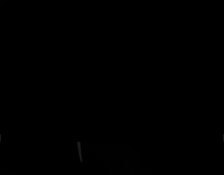 138.jpg