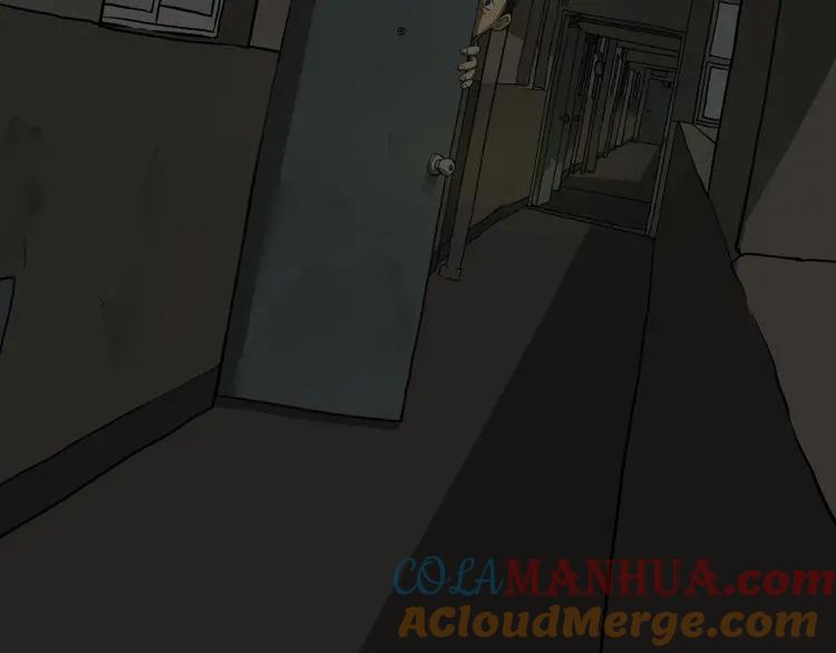 213.jpg