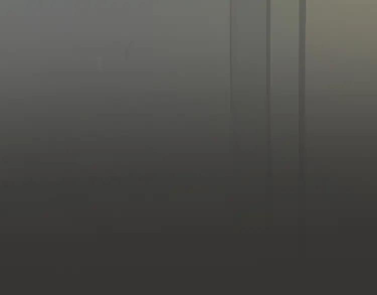 207.jpg