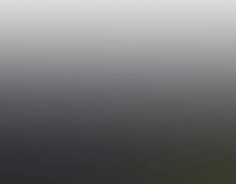 84.jpg