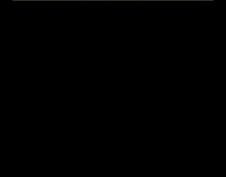 244.jpg
