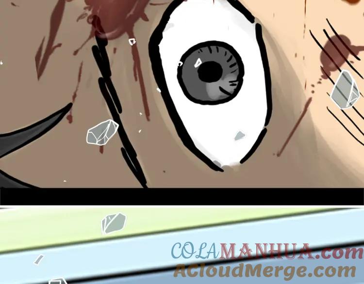 117.jpg