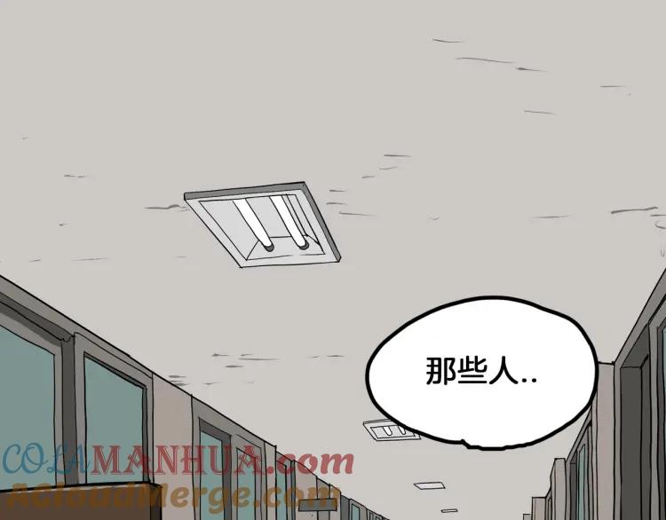 213.jpg