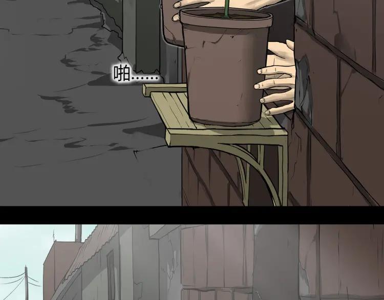 286.jpg