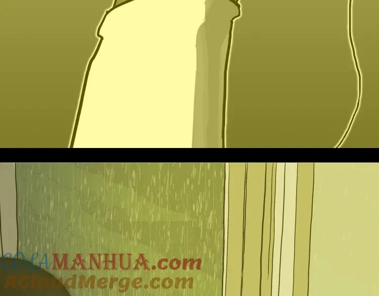 233.jpg