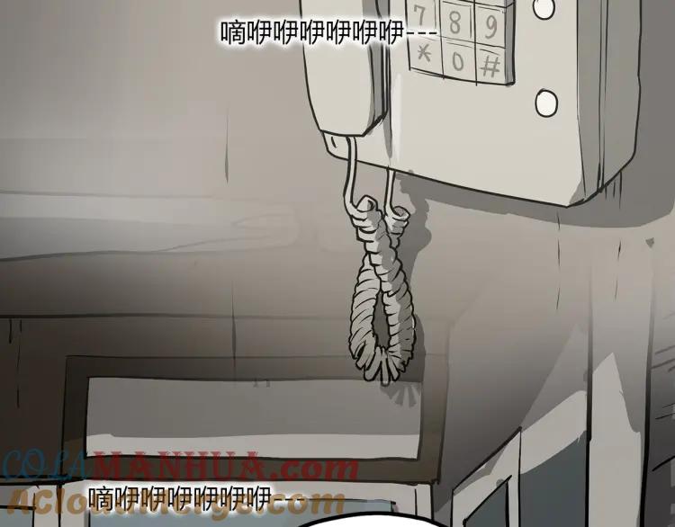 113.jpg