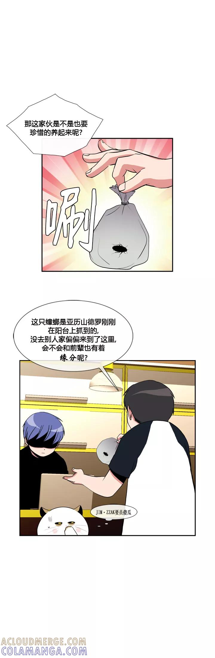 第17话-ICE-Cold要员的捡猫事件-漫拍拍 金耶琳 张流拉（第3张）