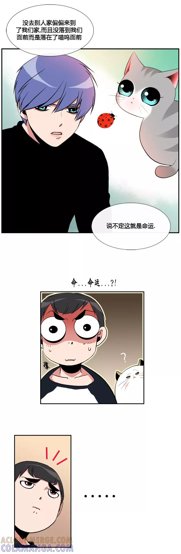 第17话-ICE-Cold要员的捡猫事件-漫拍拍 金耶琳 张流拉（第2张）
