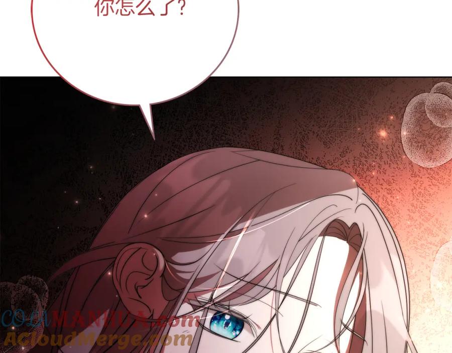 233.jpg