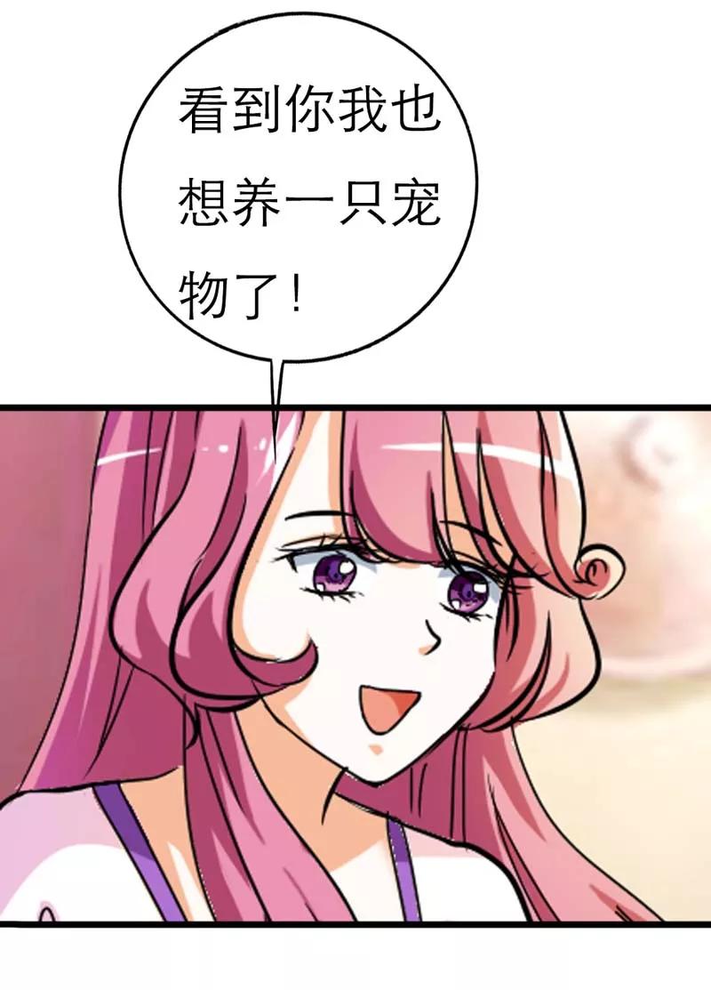 第20话有后台就是好！-这个神兽有点萌系列之通天嗜宠-左岸卡漫（第14张）