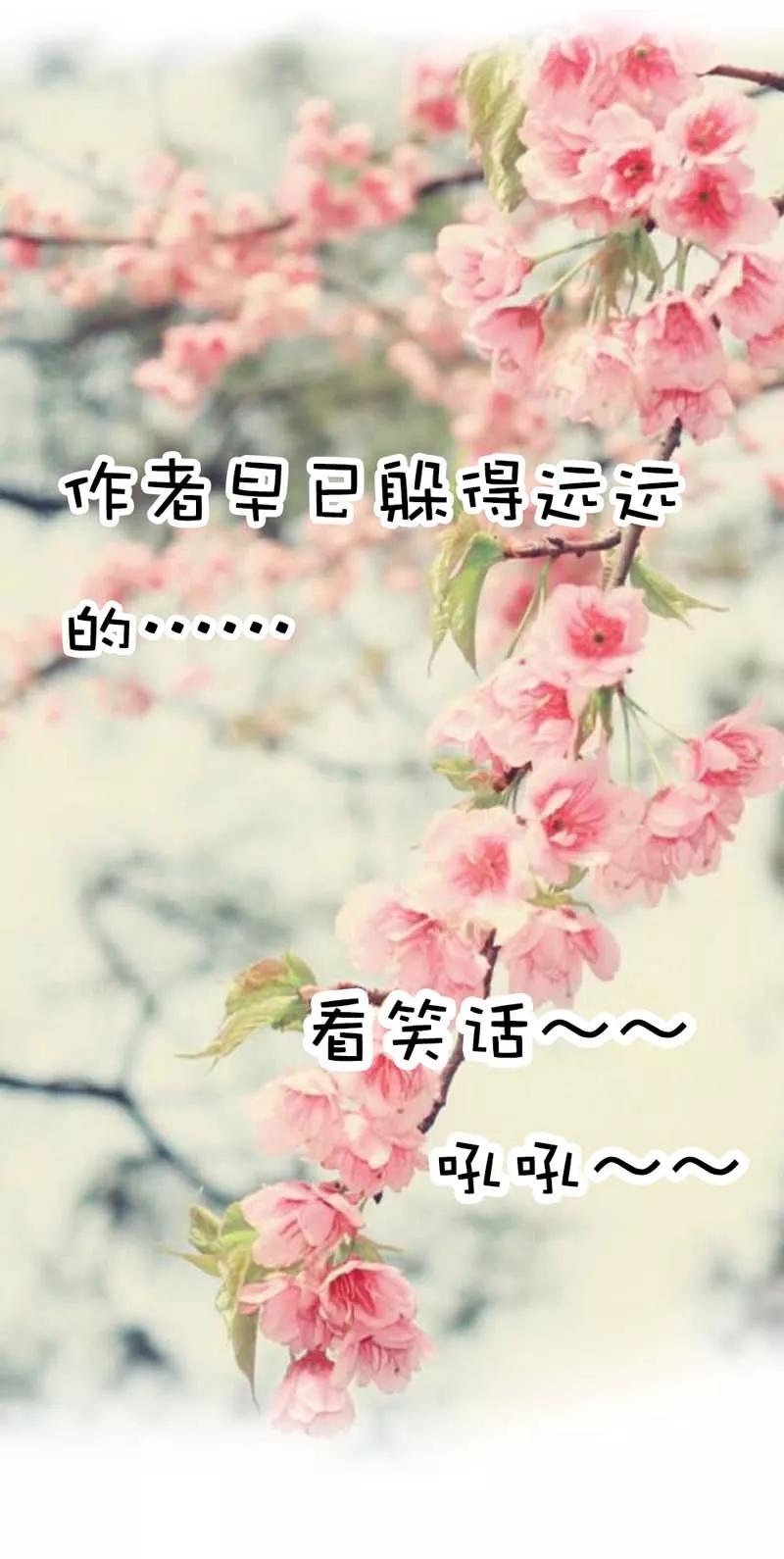 第27话我控制不住我记几啊-这个神兽有点萌系列之通天嗜宠-左岸卡漫（第6张）