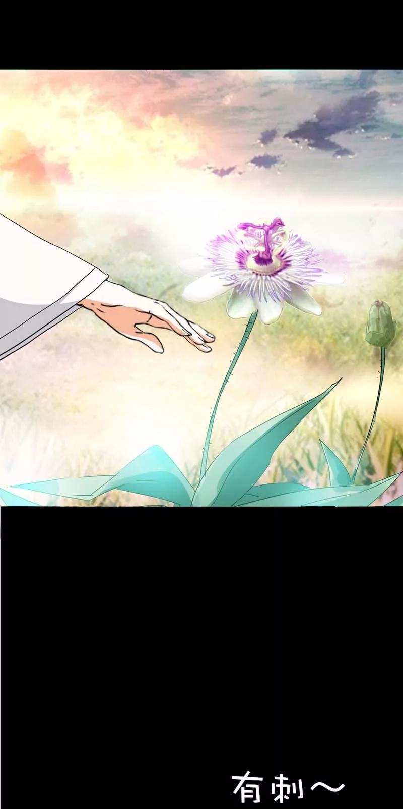 第36话再多的追求者又有何-这个神兽有点萌系列之通天嗜宠-左岸卡漫（第14张）
