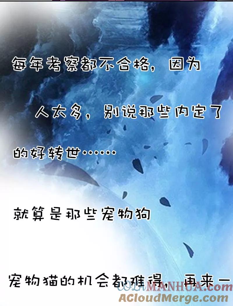 第4话判官的大忽悠-这个神兽有点萌系列之通天嗜宠-左岸卡漫（第4张）