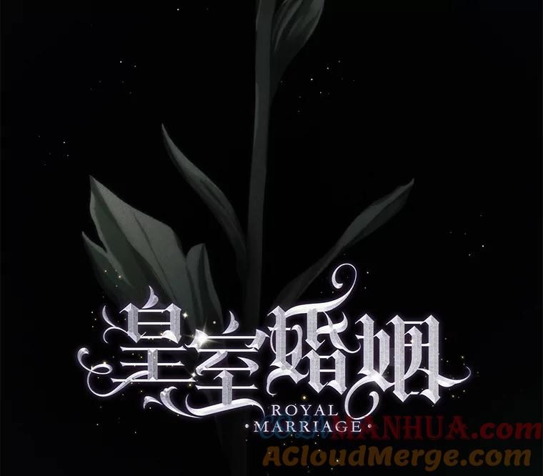 41.免罪权-皇室婚姻-HIYA,Kangryeol, Portofino（第17张）