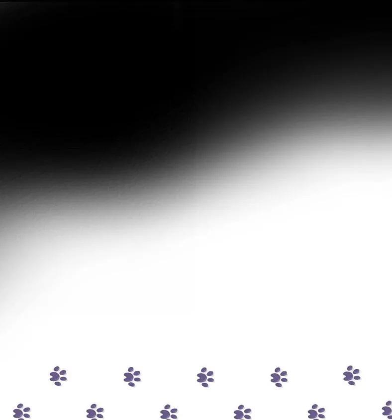 95.jpg