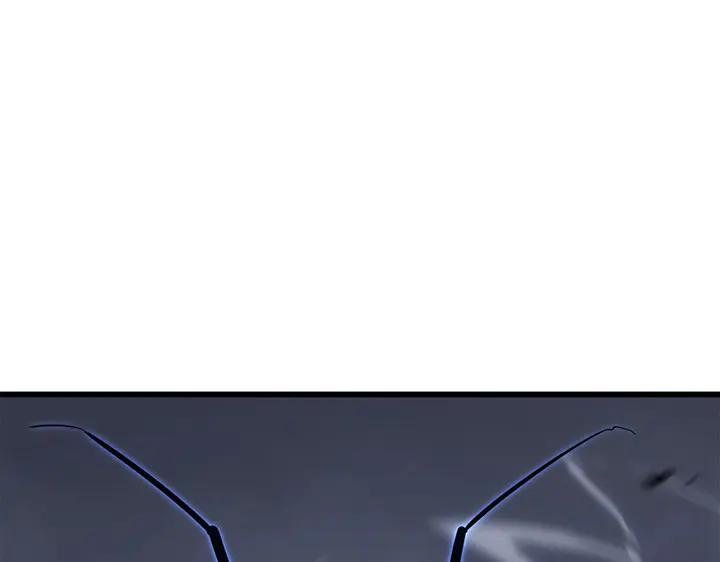 244.jpg