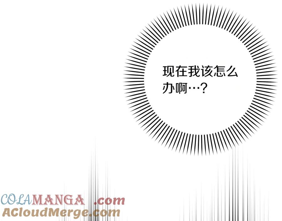 137.jpg