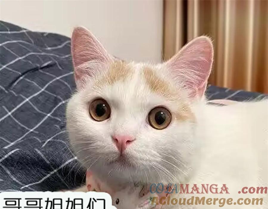 73.jpg