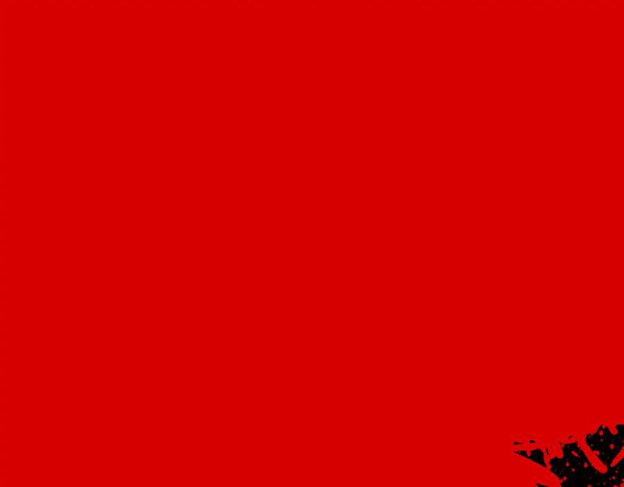 238.jpg