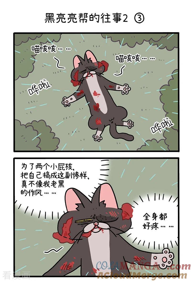 番外9上黑亮亮帮的往事-阿满和麦茶-新漫画 日胖大海寺（第5张）