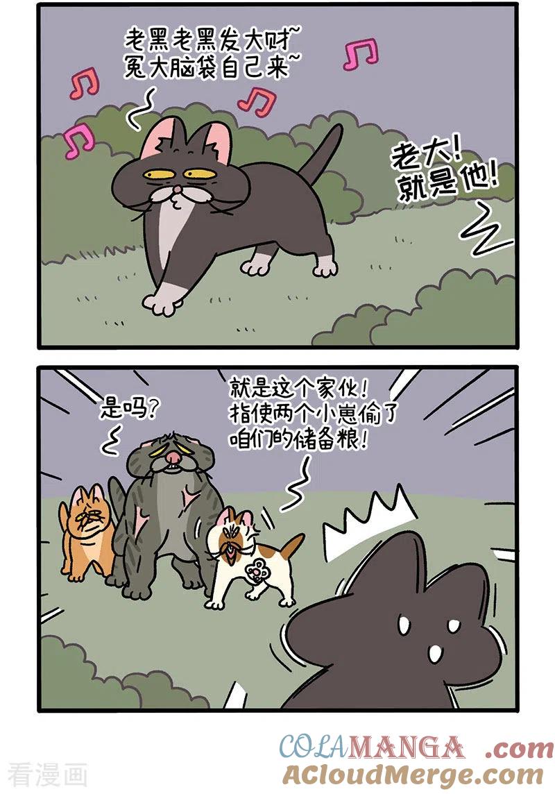 番外9上黑亮亮帮的往事-阿满和麦茶-新漫画 日胖大海寺（第2张）