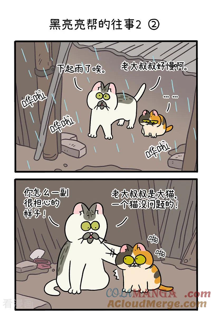 番外9上黑亮亮帮的往事-阿满和麦茶-新漫画 日胖大海寺（第3张）