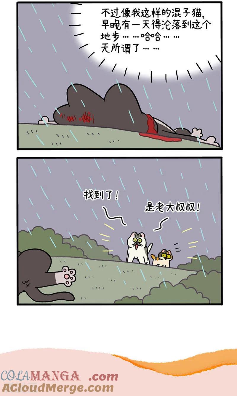 番外9上黑亮亮帮的往事-阿满和麦茶-新漫画 日胖大海寺（第6张）