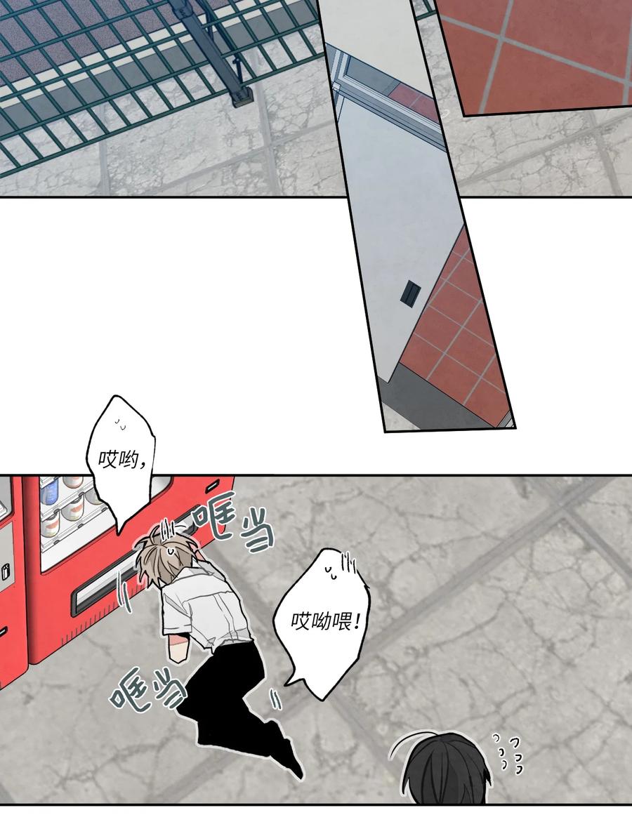 25.jpg