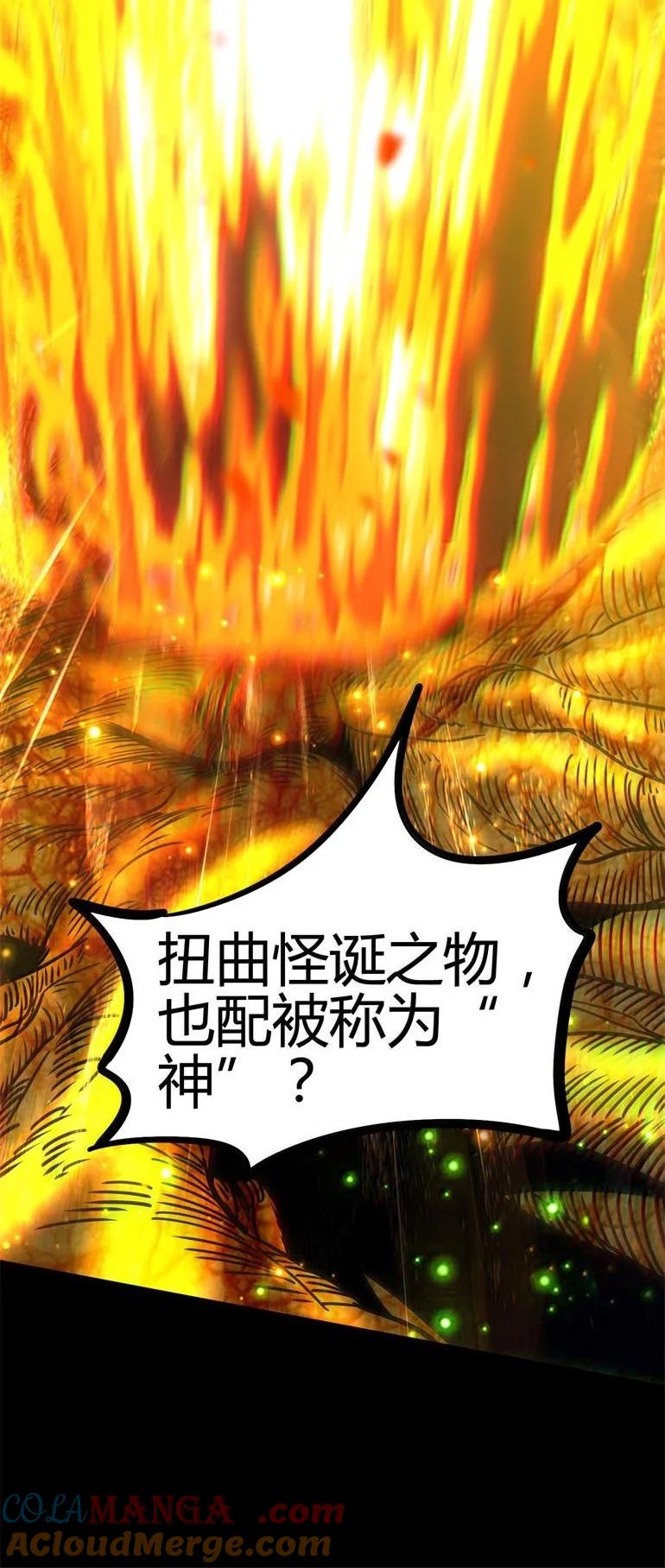 55.jpg