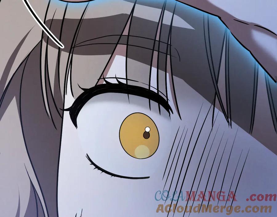 113.jpg