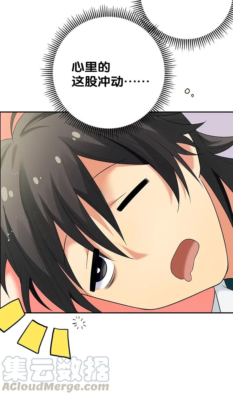 41.jpg