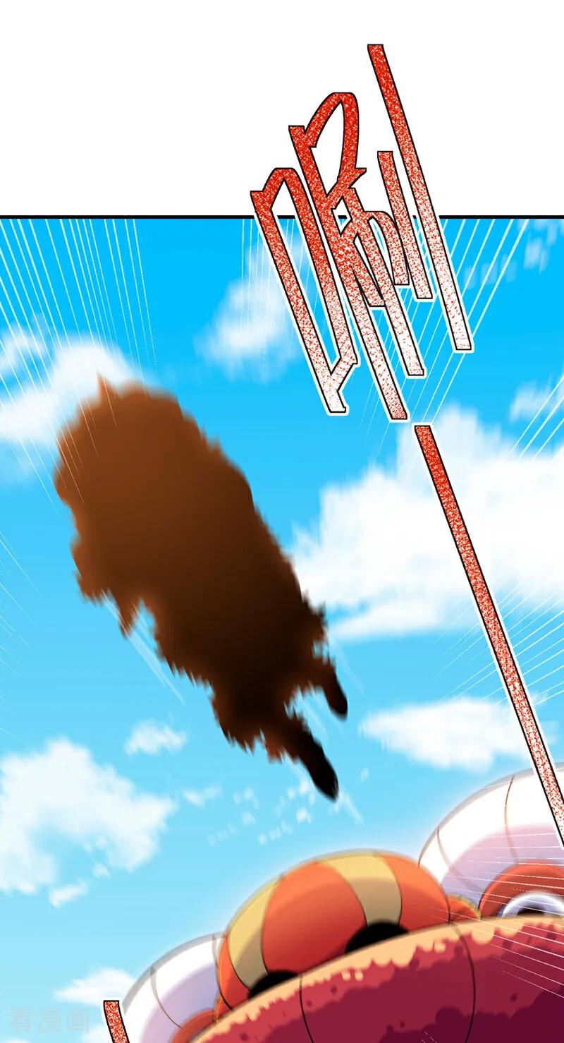 29.jpg