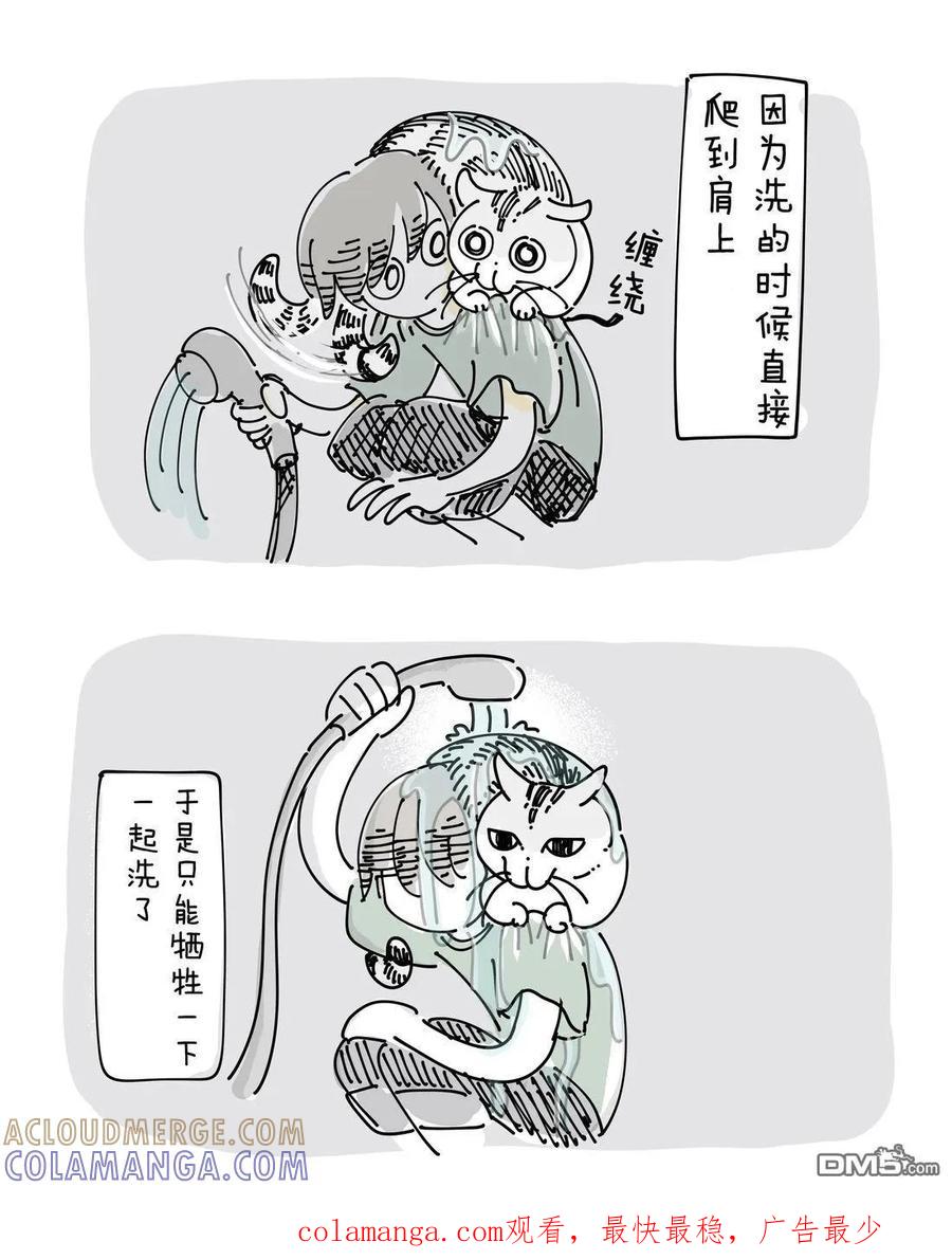 丘丘洗澡-关于养猫我一直是新手-キュルZ（第1张）