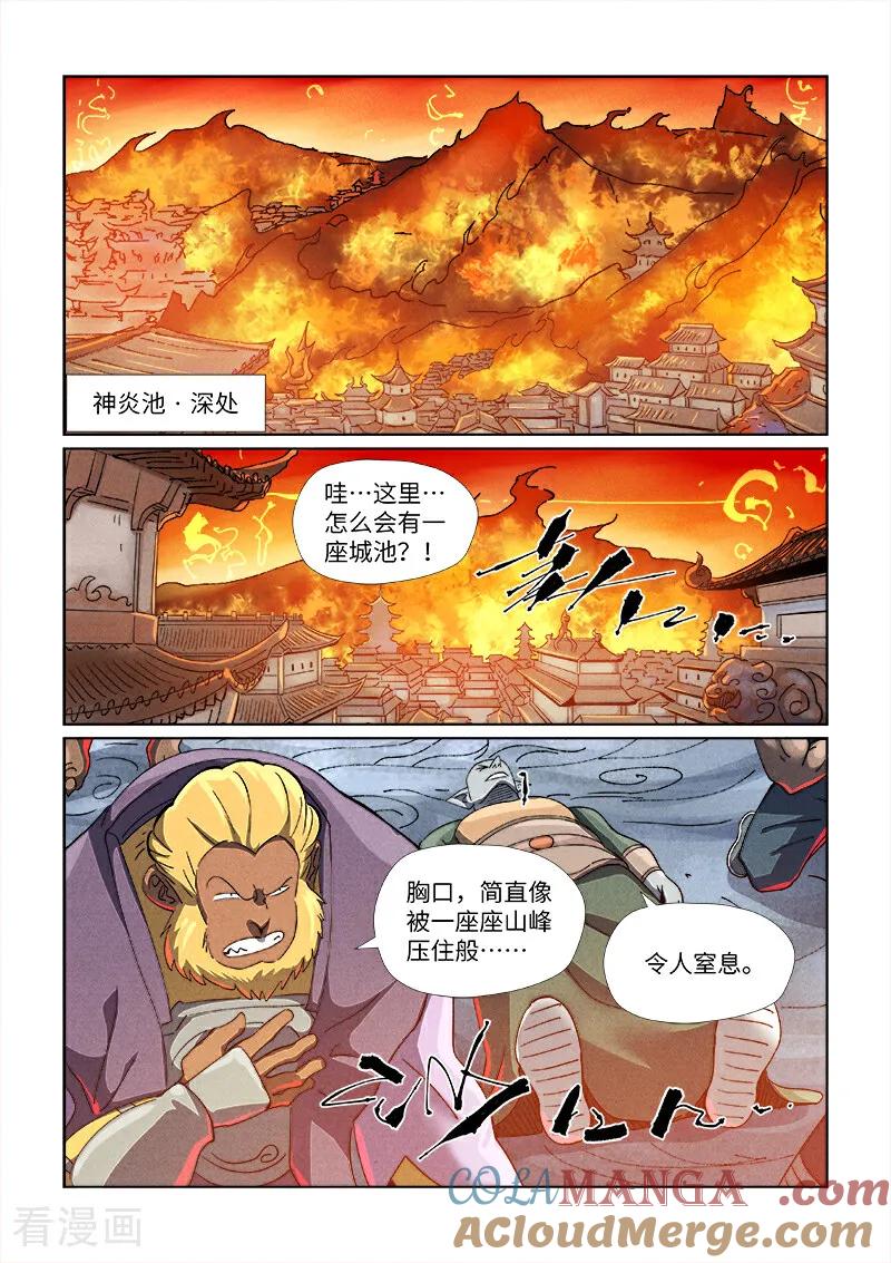 4.jpg