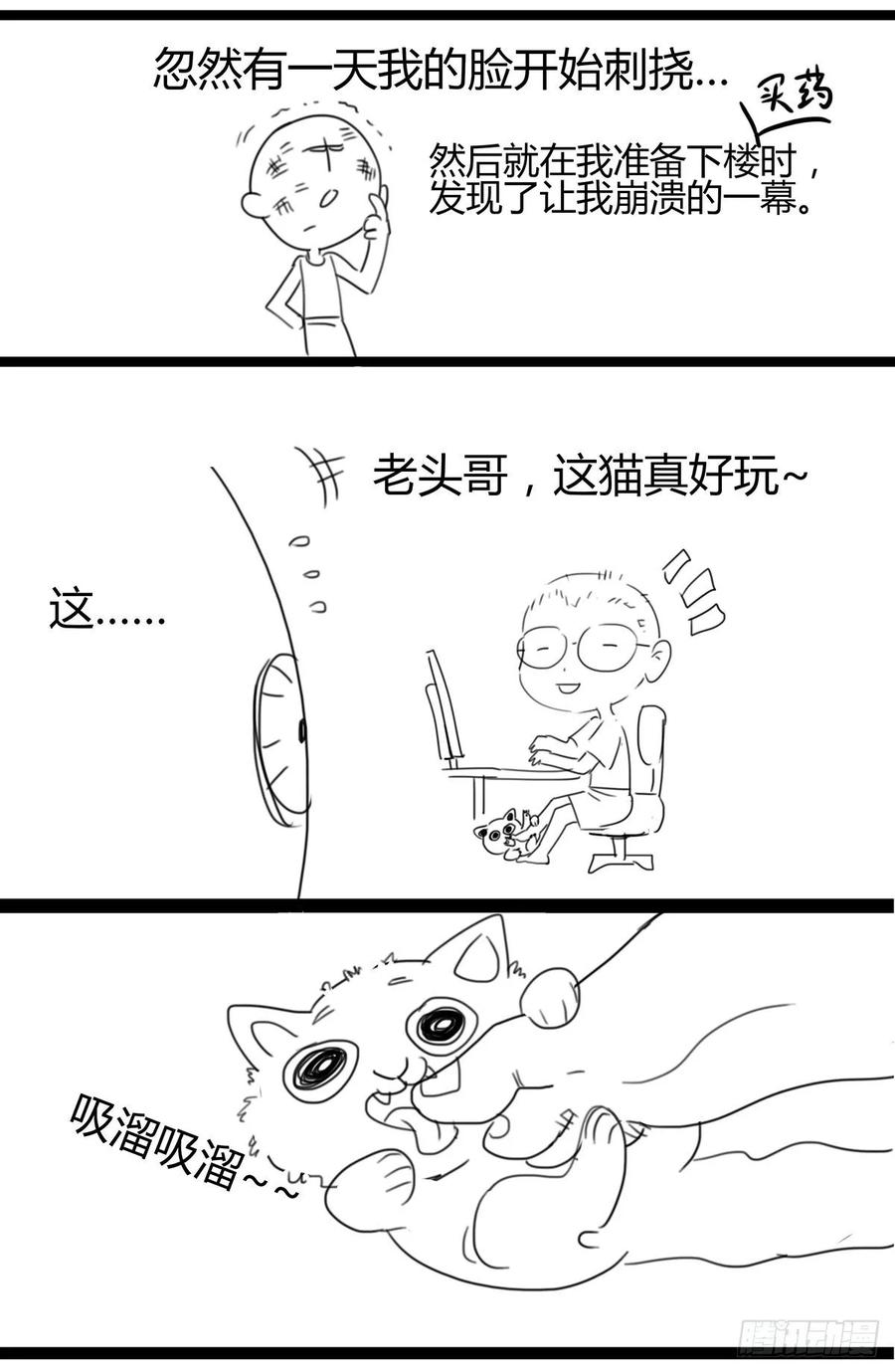 20.jpg