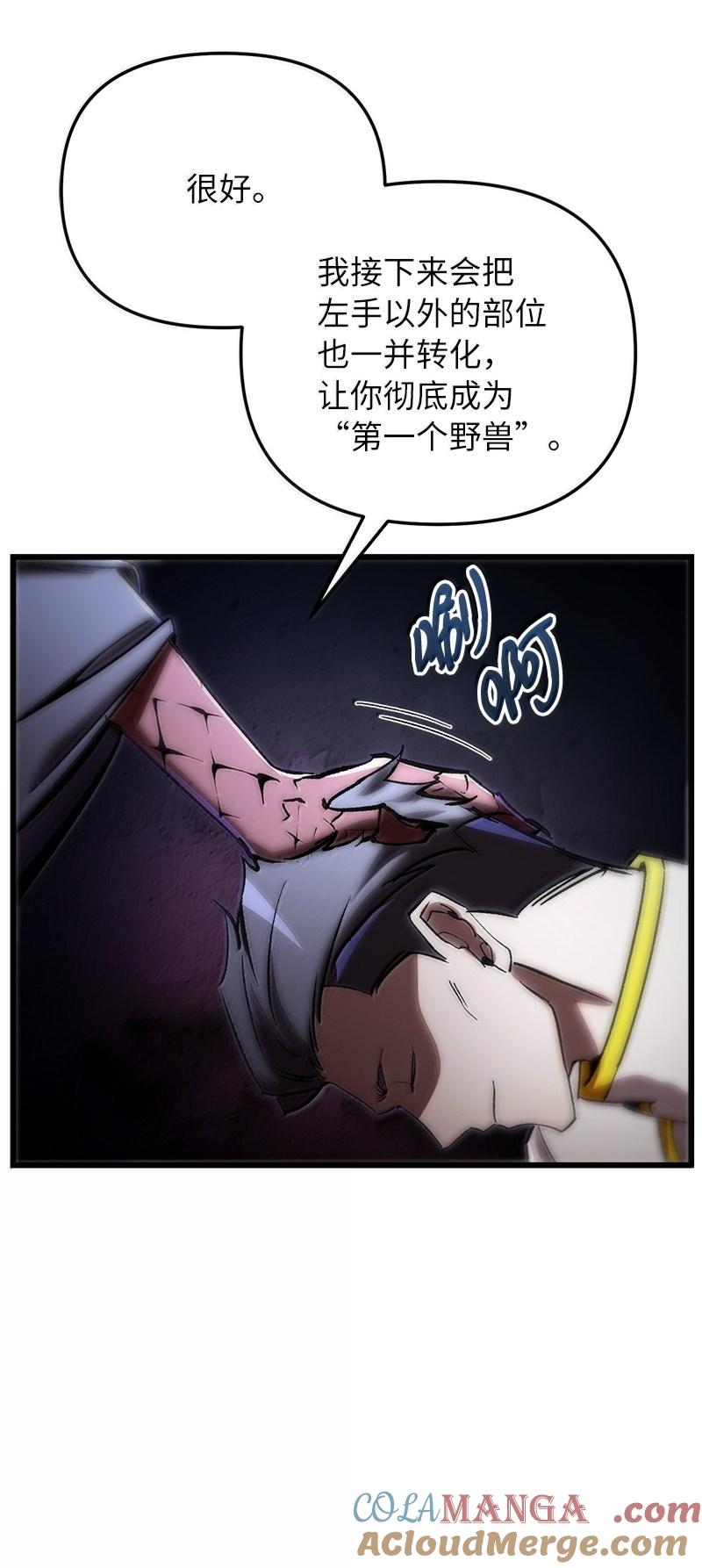 41.jpg