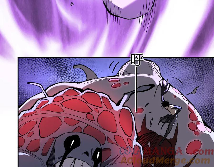 77.jpg