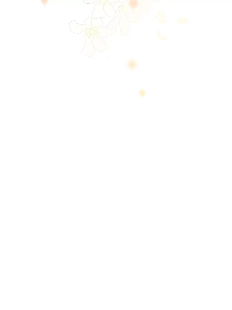 65.jpg