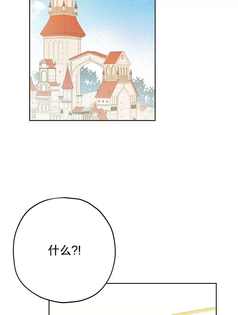 78.jpg