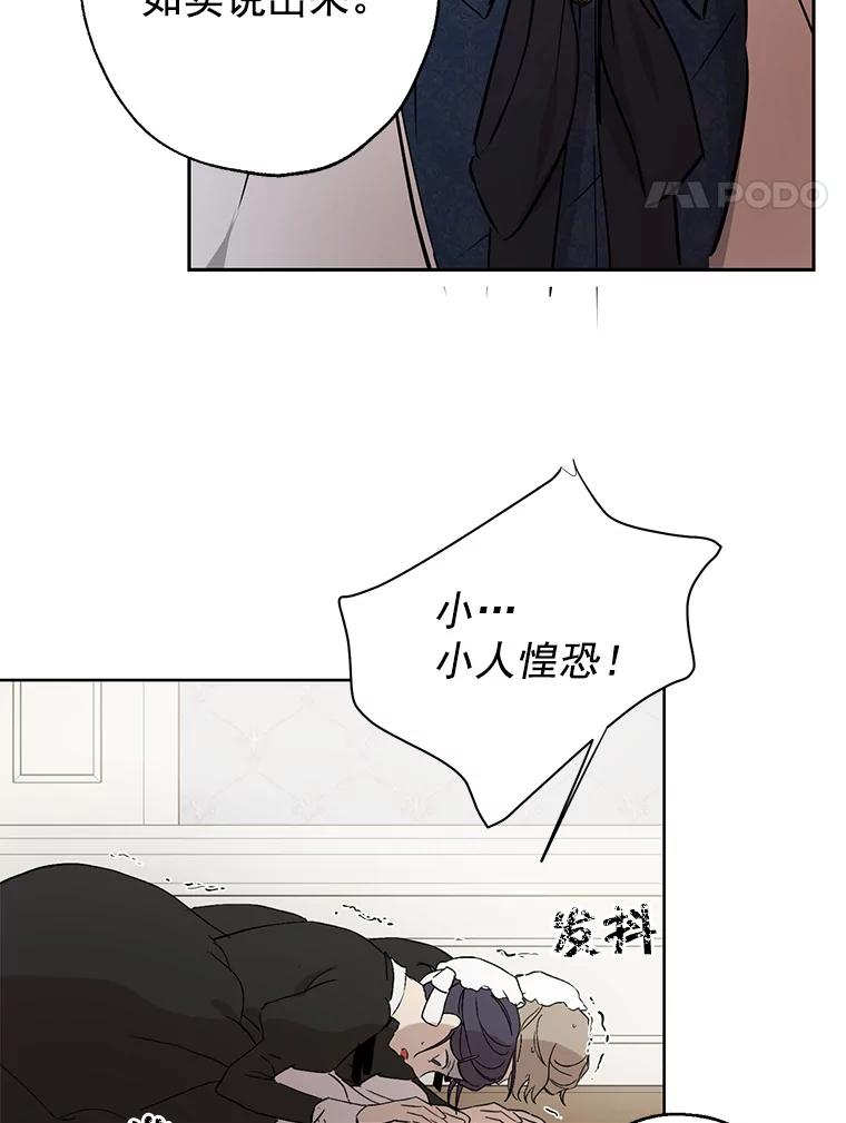 81.jpg