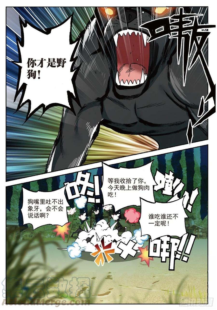 6.jpg