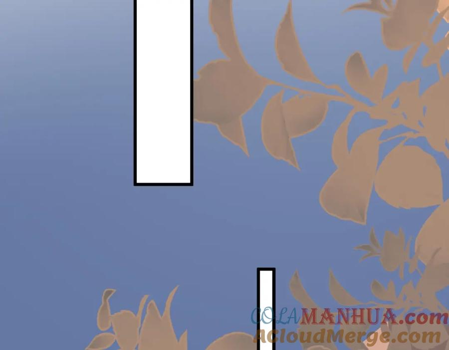 79.jpg