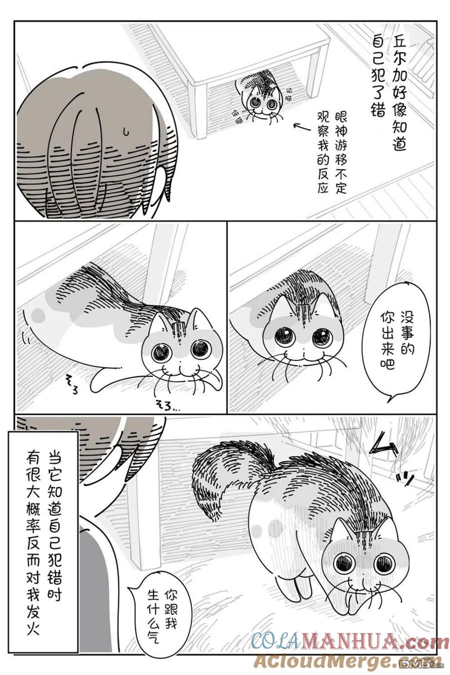 第143话-关于养猫我一直是新手-キュルZ（第2张）
