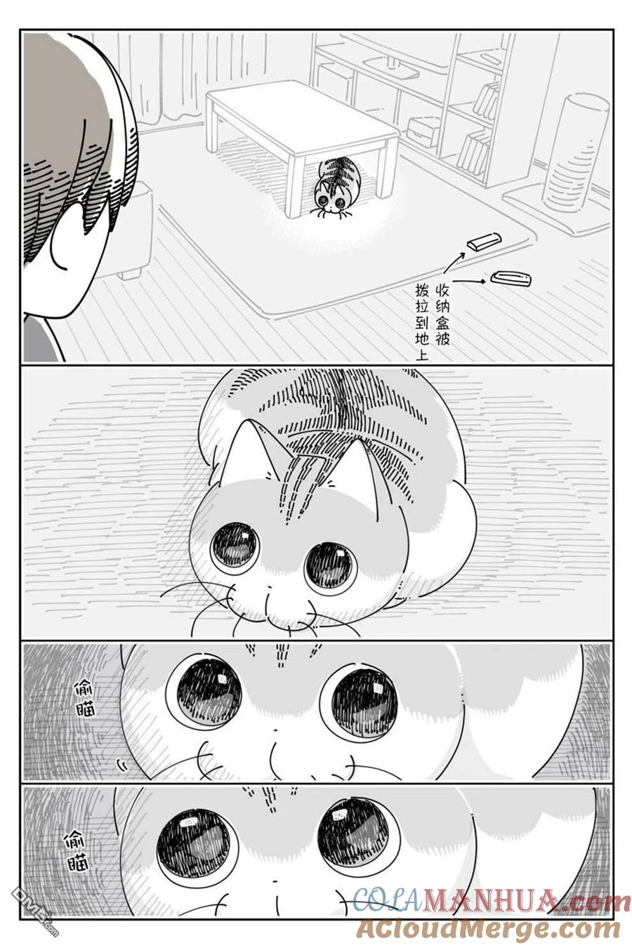 第143话-关于养猫我一直是新手-キュルZ（第1张）